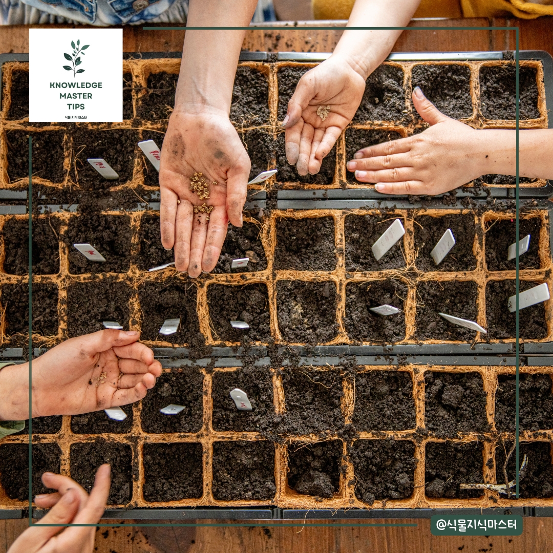 씨앗 발아에 실패하는 이유