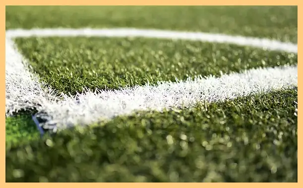 축구 결과 한국 팔레스타인 (하이라이트 동영상)