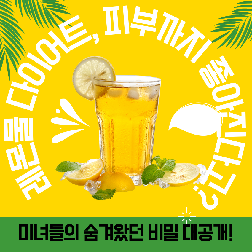 레몬물 다이어트