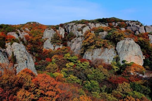 고창 선운산 억새밭 바람이 춤추는 늦가을 언덕길