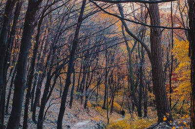 북한산 가을 숲속