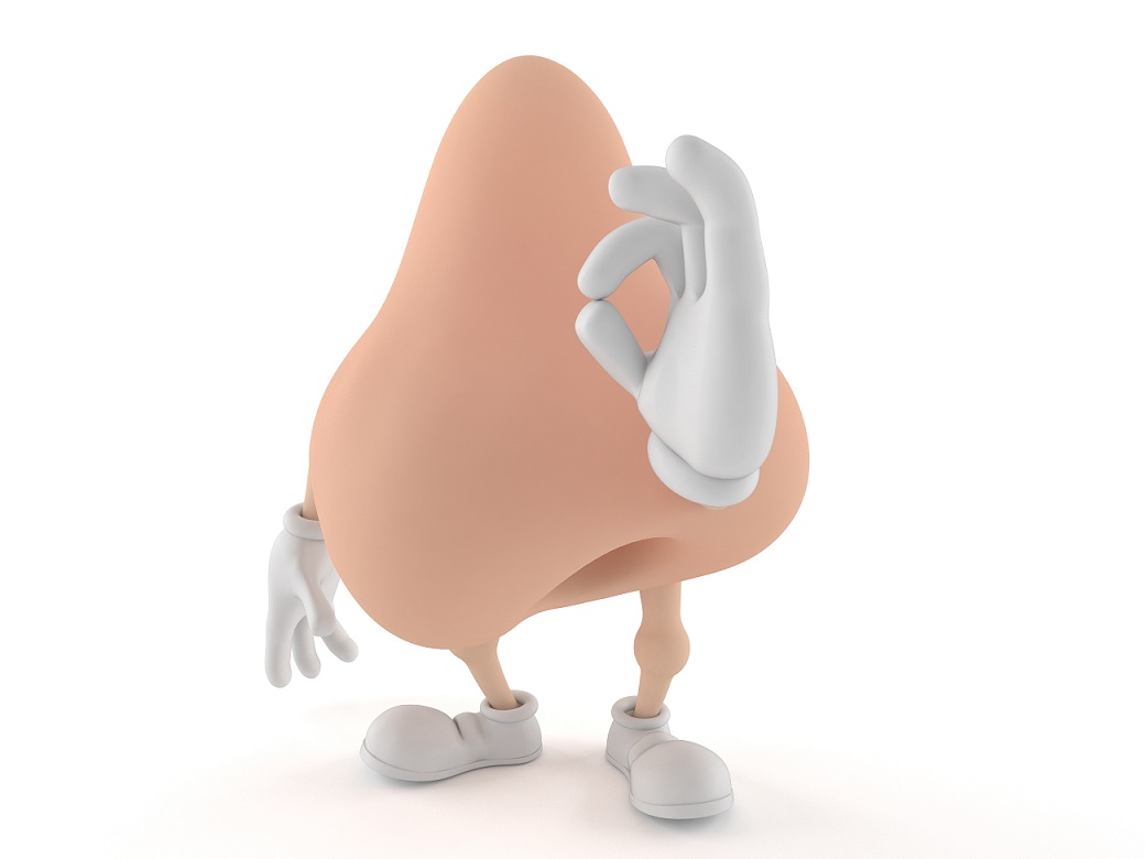 비염에 좋은 음식과 안 좋은 음식