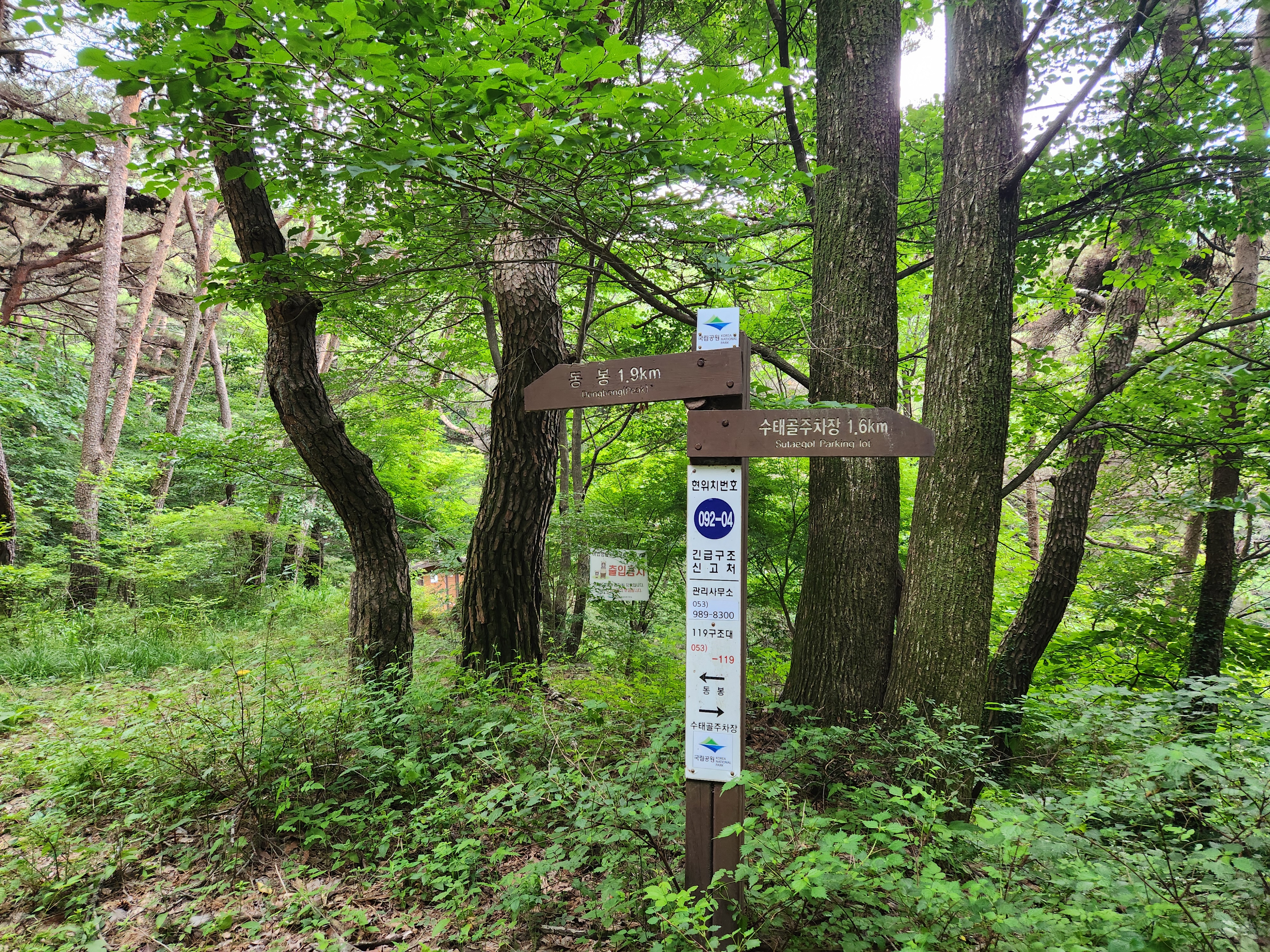 팔공산 수태골 등산 (15)