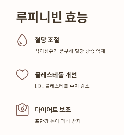 루피니빈 효능