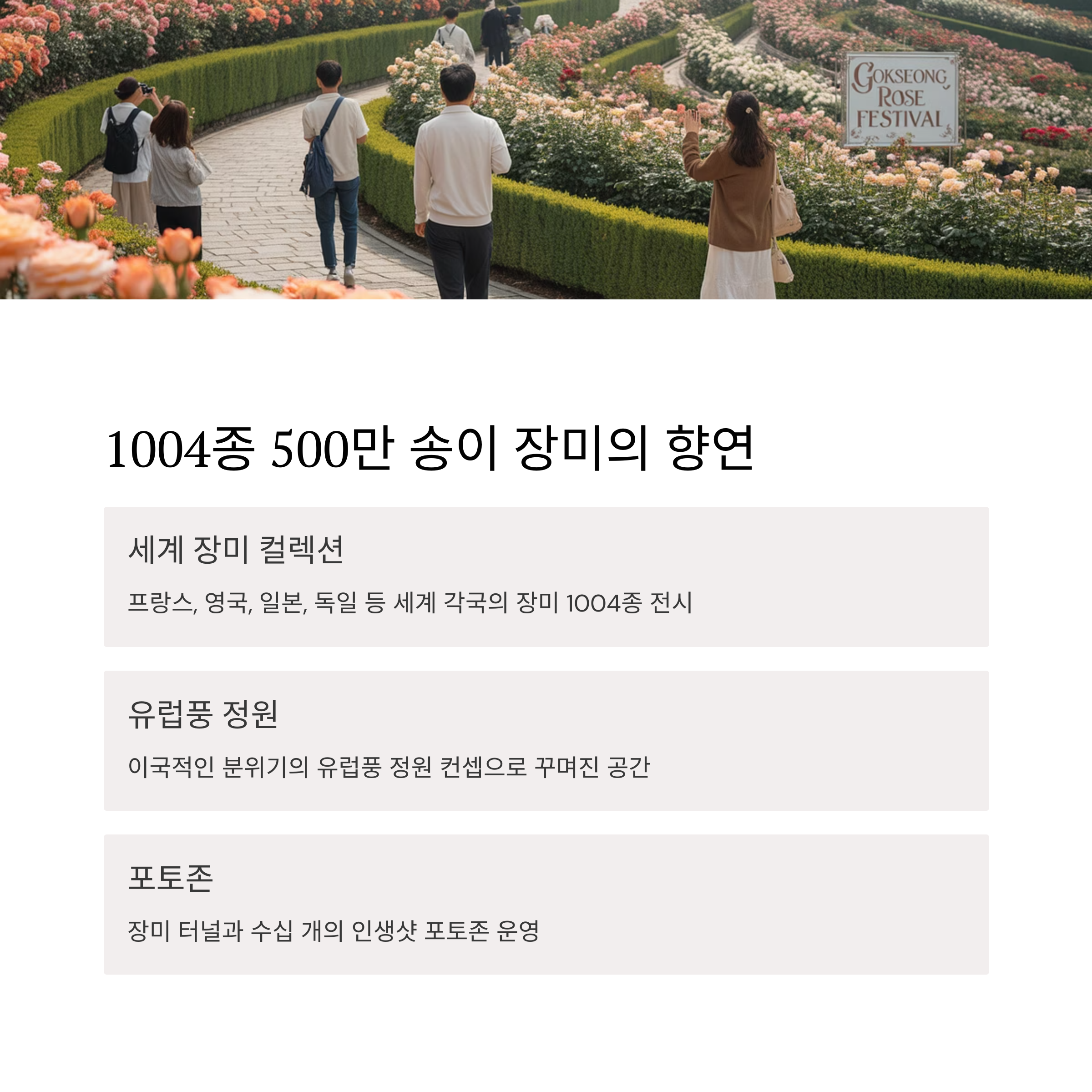 2025 곡성세계장미축제, 로맨틱함의 절정을 만나다!
