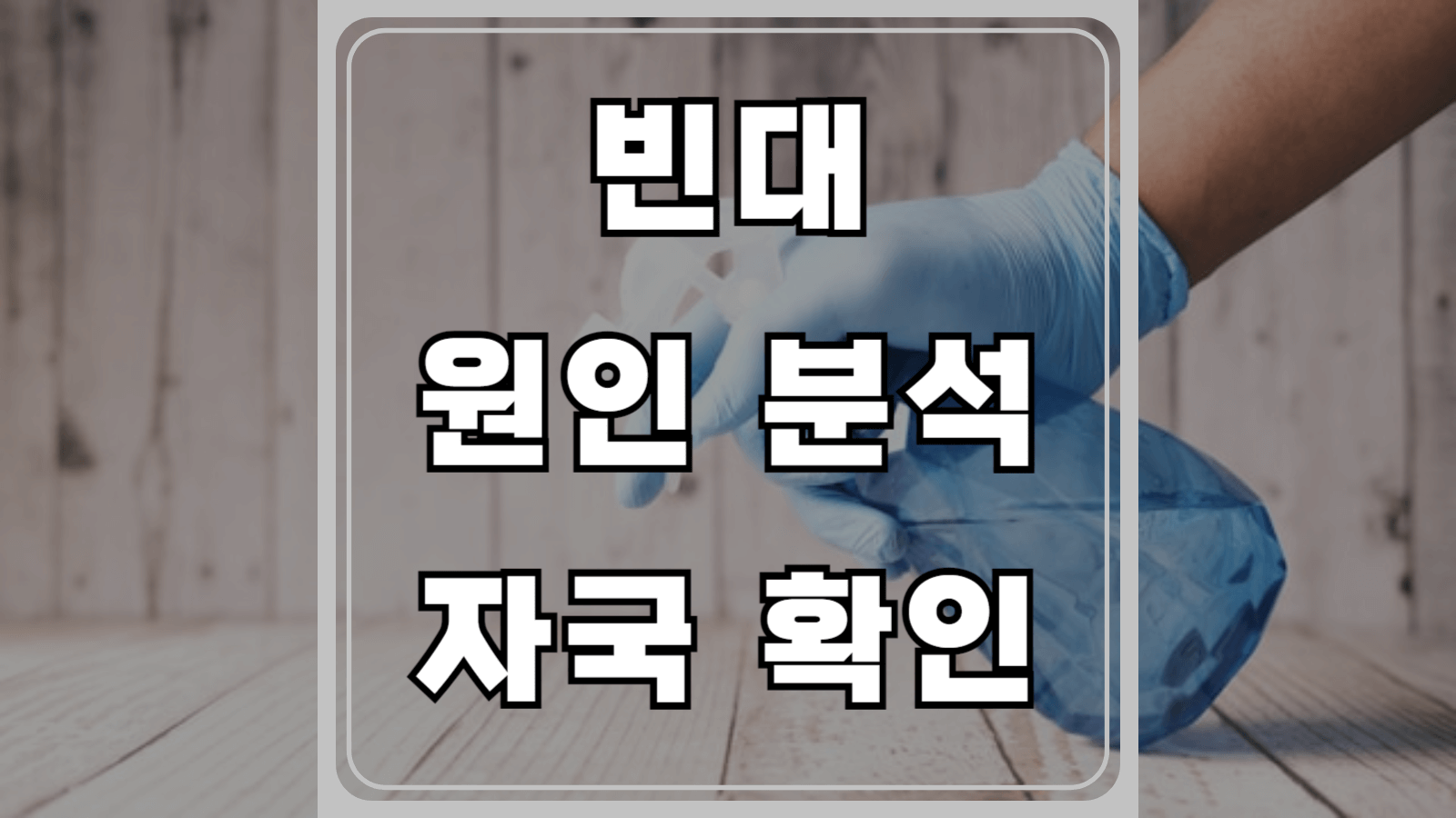 빈대 원인 분석과 물린 자국 확인 방법
