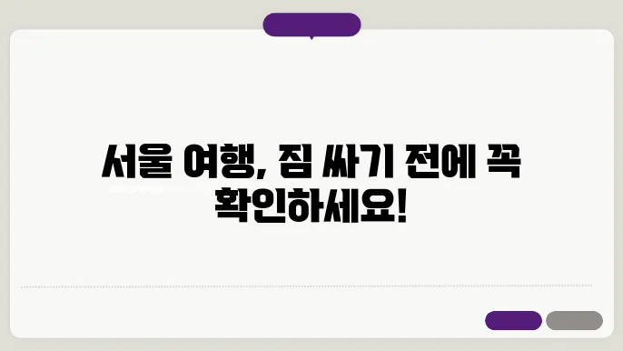 서울 여행 시 필수 준비물