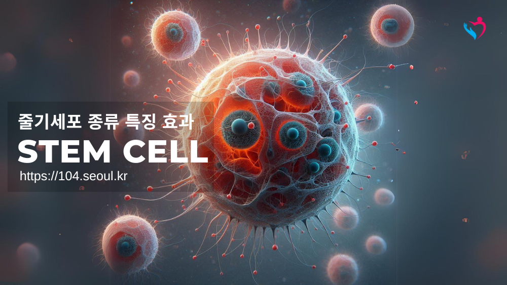 줄기세포 종류 특징 효과