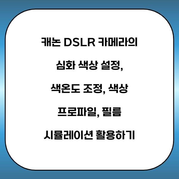 캐논 DSLR 카메라의 심화 색상 설정