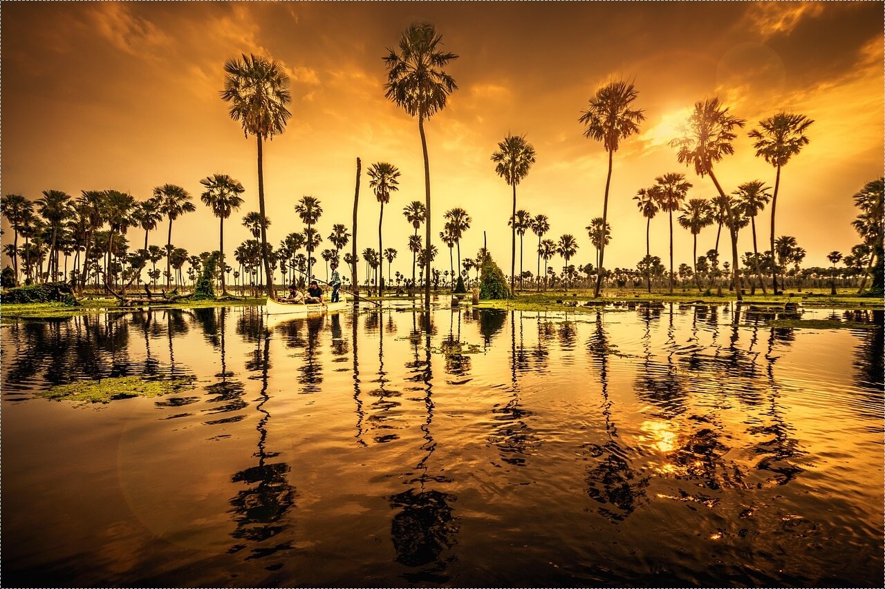 프랜차이즈 창업