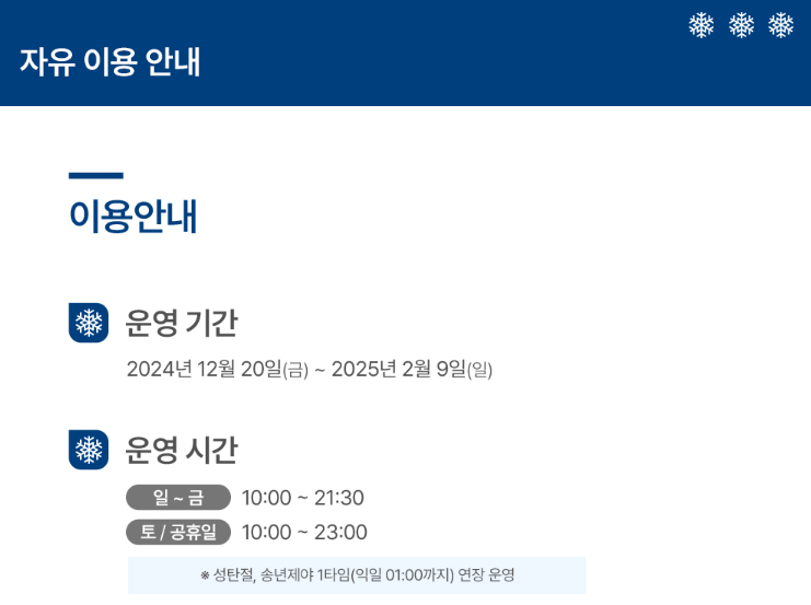 서울광장 스케이트장