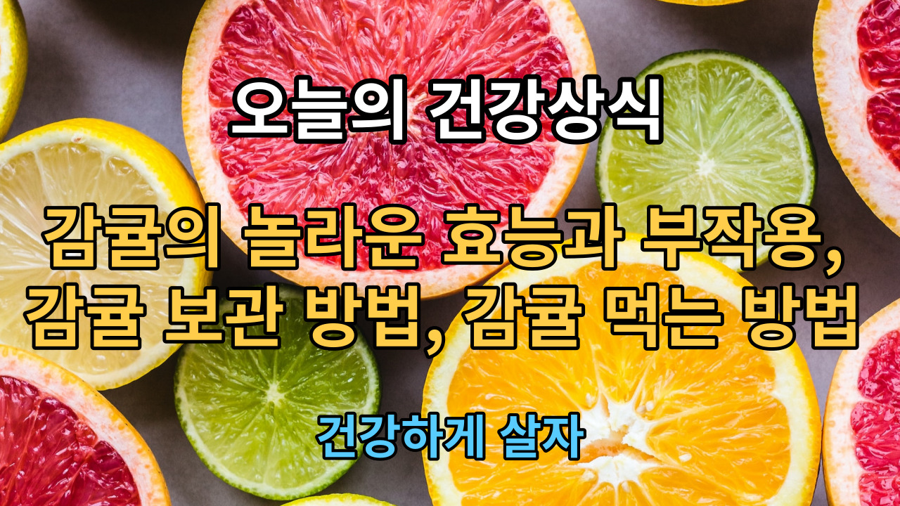 감귤의 놀라운 효능과 주의할 점, 감귤 보관 방법, 감귤 먹는 방법