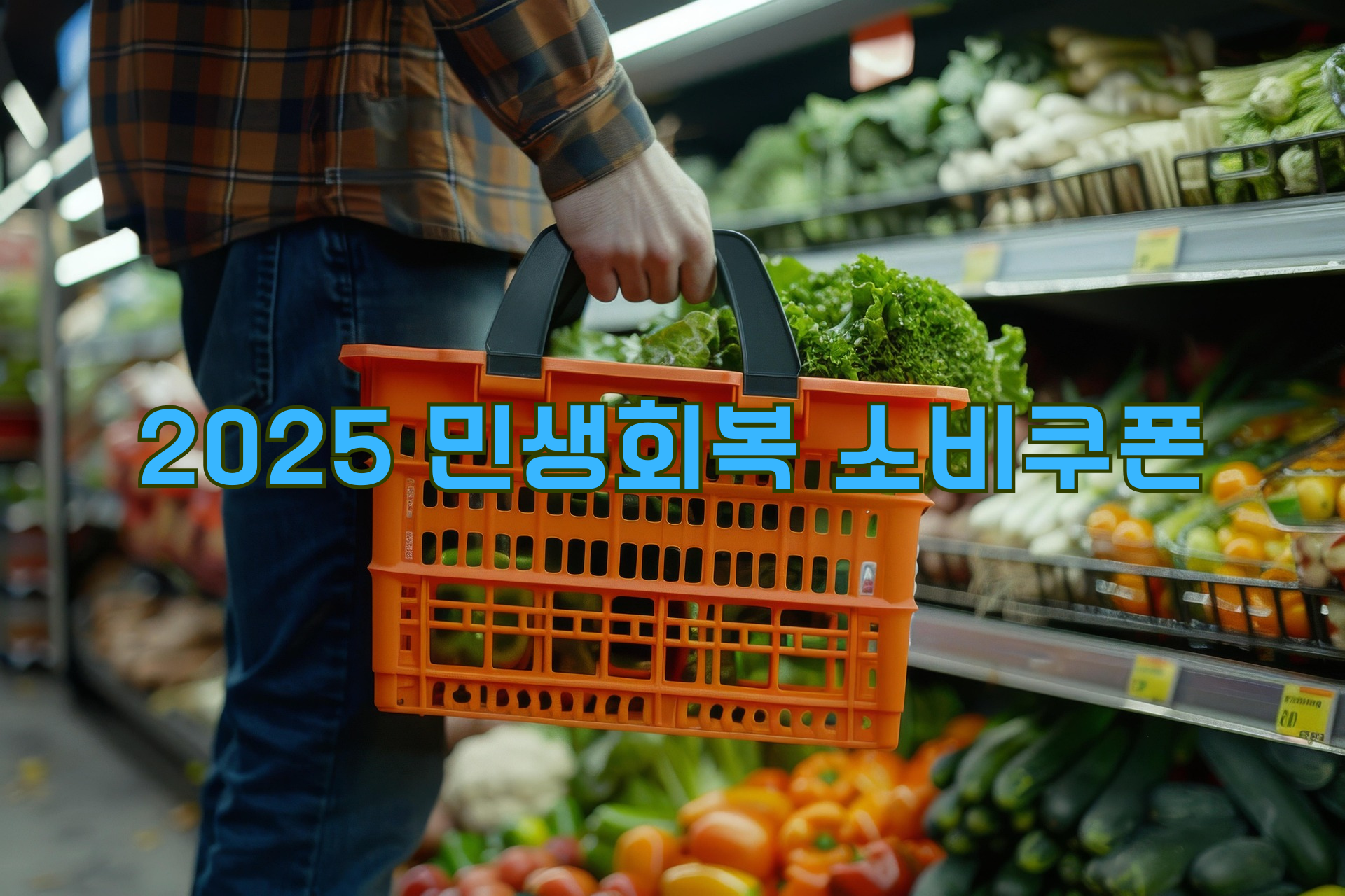 2025 민생회복 소비쿠폰