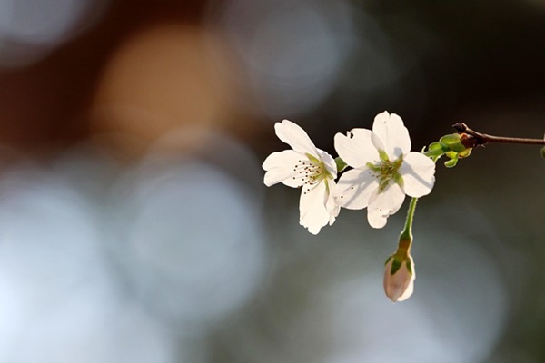 모유 수유와 혼합 수유, 우리 아기에게 맞는 선택은?