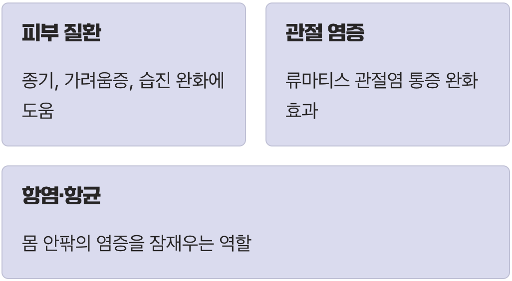 몸속 염증을 다스리는 천연 소염제