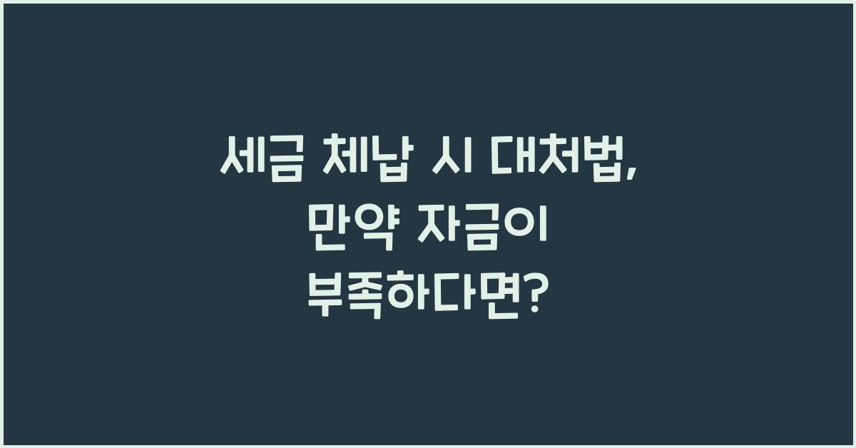 세금 체납 시 대처법