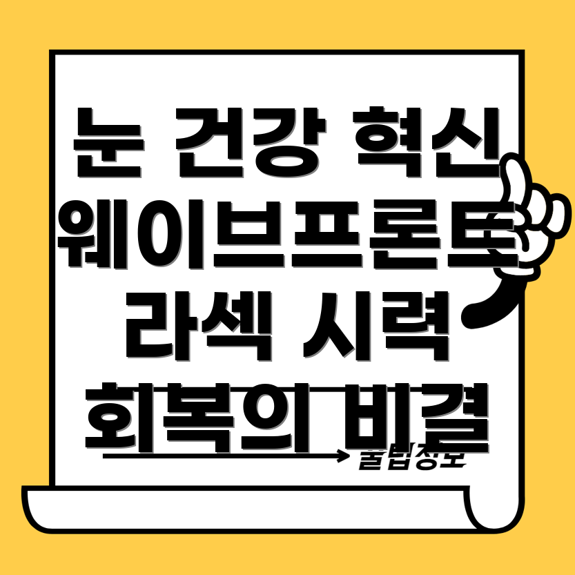 웨이브프론트 가이드 라섹
