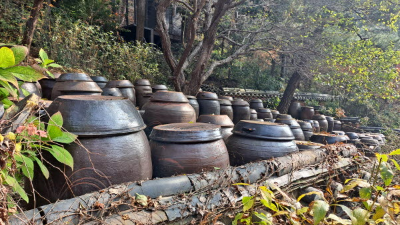 단풍명소_화담숲_추억의정원