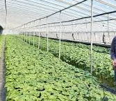 2025년 하반기 한국농어촌공사 채용 : 채용직무