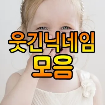 웃긴 닉네임 추천 재밌는 닉네임 웃긴 이름 모음_15