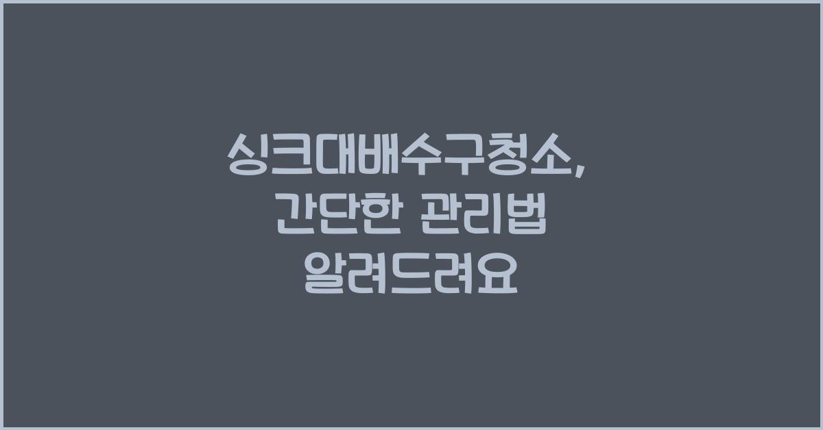 싱크대배수구청소