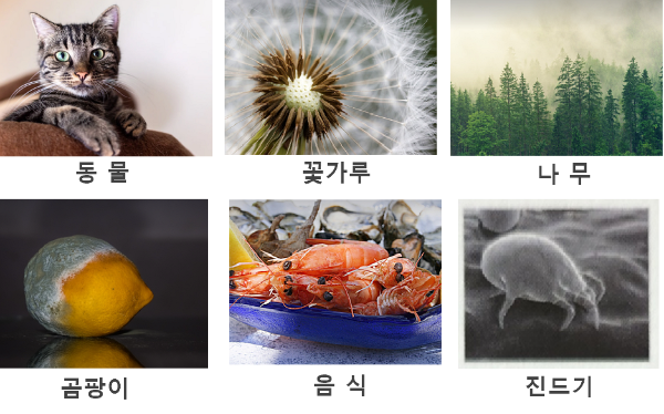 알레르기 원인물질