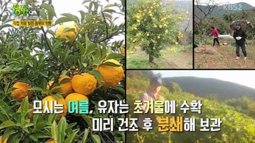 남해-특산물찐빵-유자찐빵