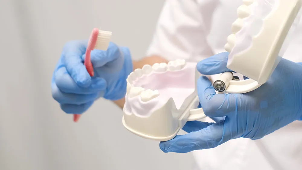 치아 관리 방법