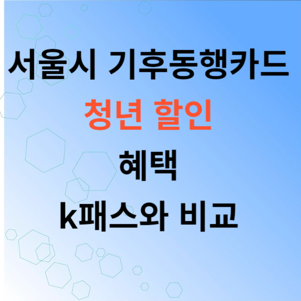 서울시 기후동행카드 청년 할인 환급 비교