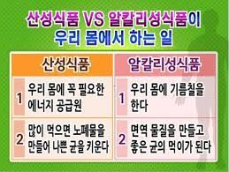 매실의효능