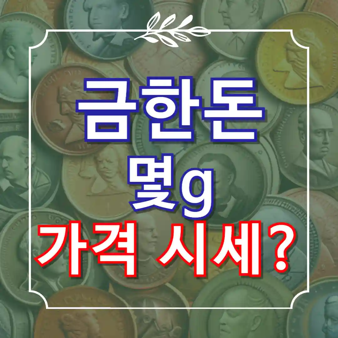 금한돈은 몇g 가격 시세