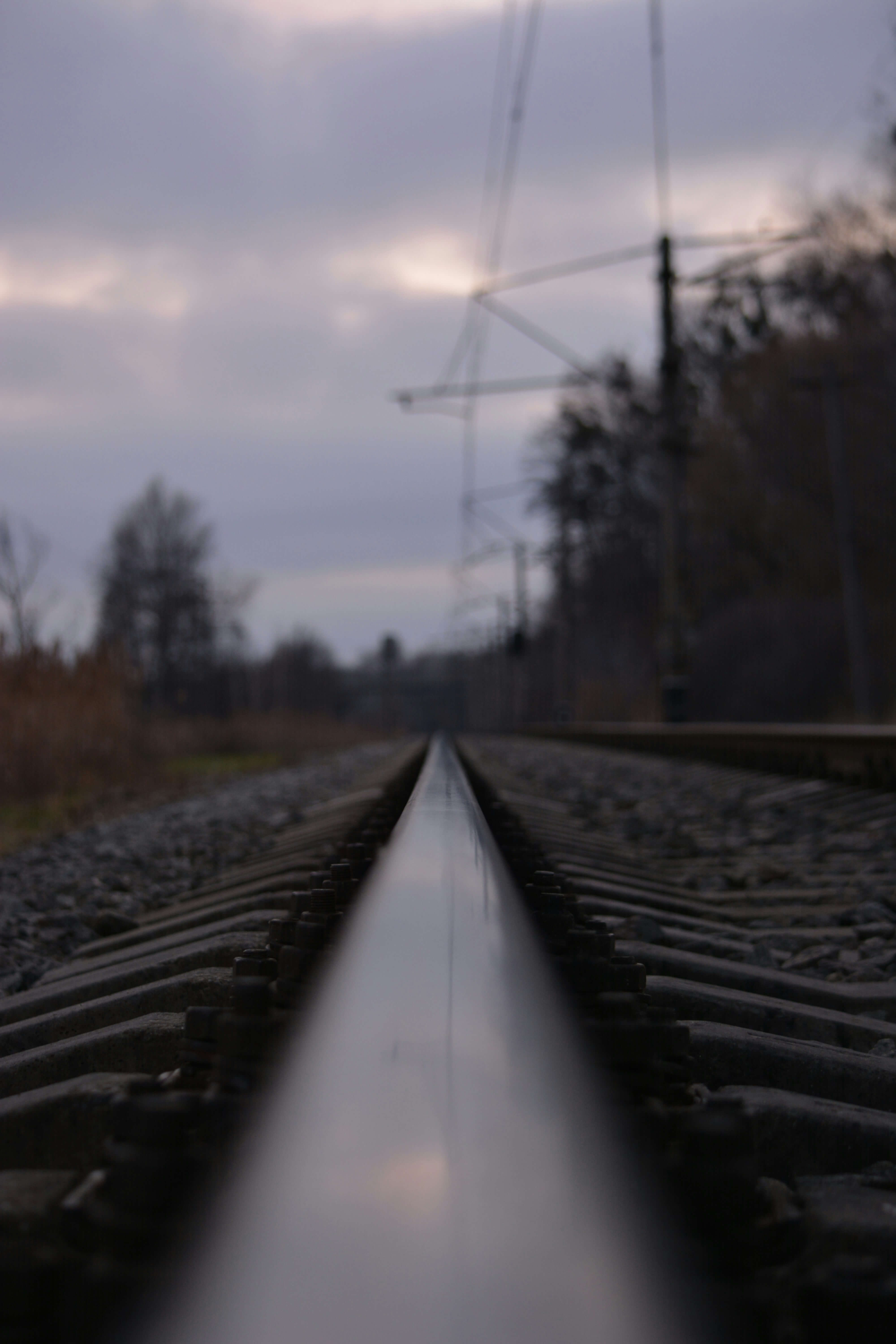 영화 밤과 안개 속 아우슈비츠 수용소로 향하는 안개 낀 철길 전경