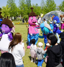 함평나비축제 -9