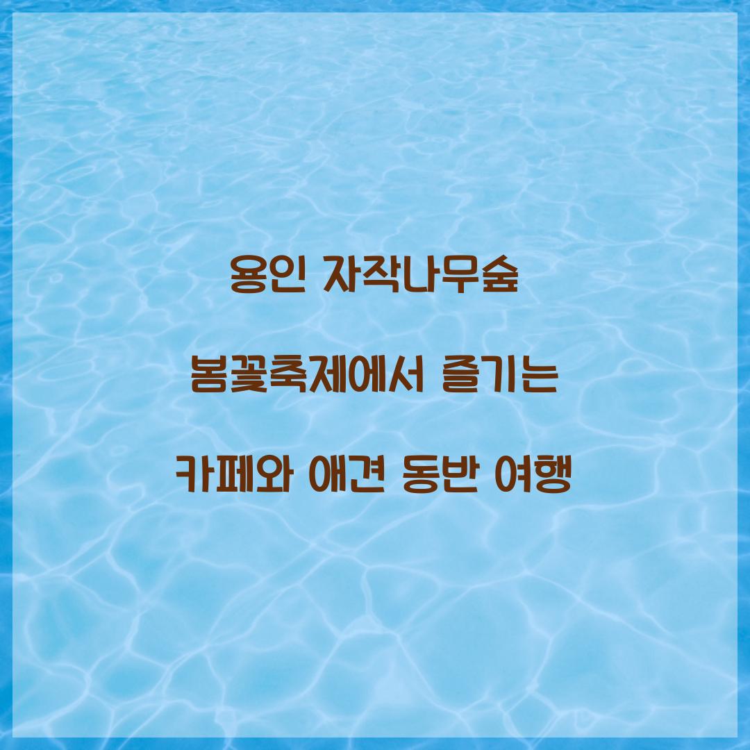 용인 자작나무숲 봄꽃축제