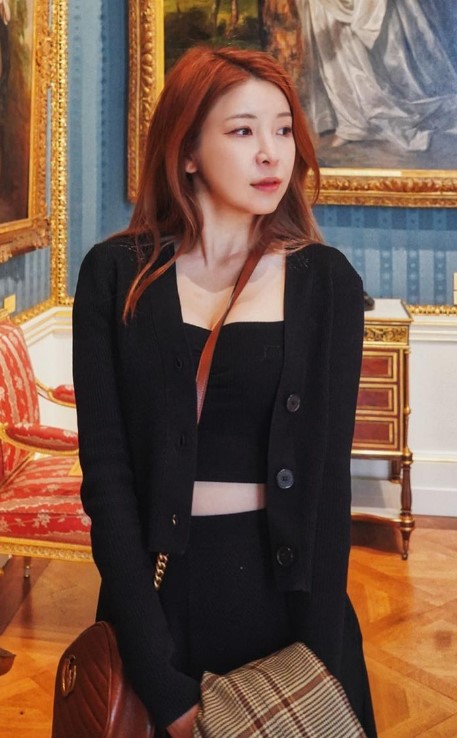 송리나 교수 맥심 양육권 소송 소식 및 송리나 프로필 인스타그램 유튜브