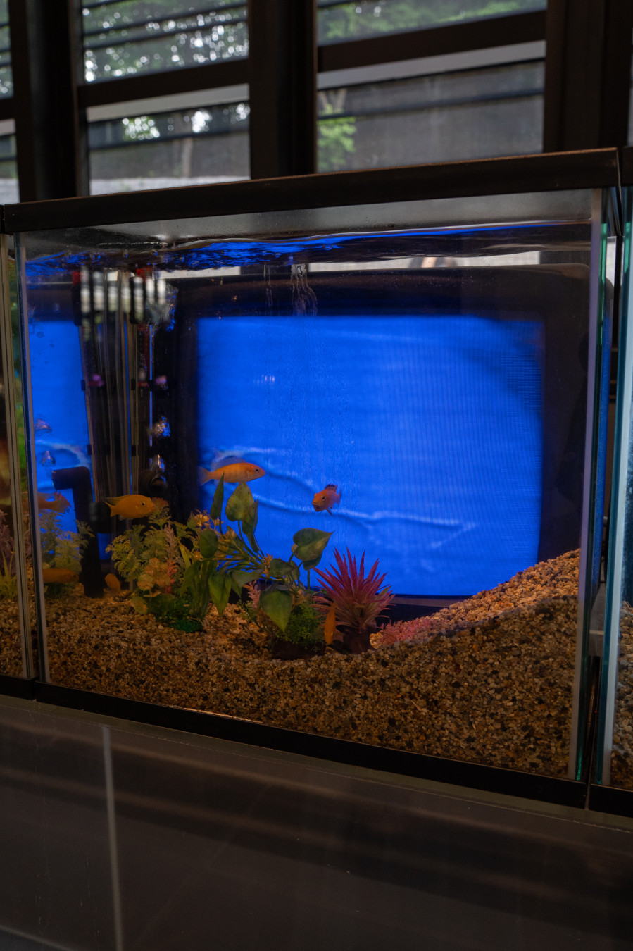 백남준 아트센터 TV물고기