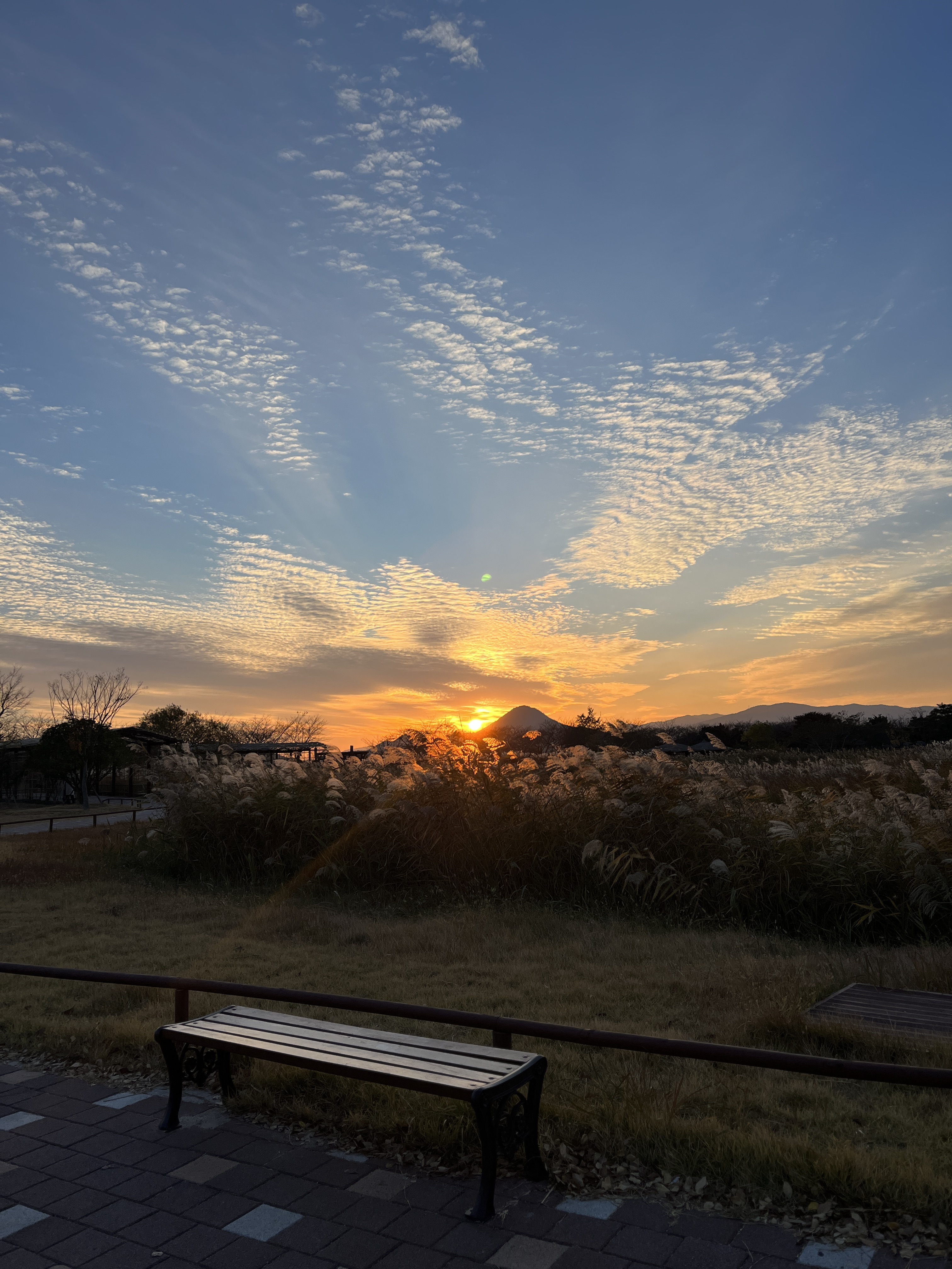 순천 여행 숙소 리조트 추천
