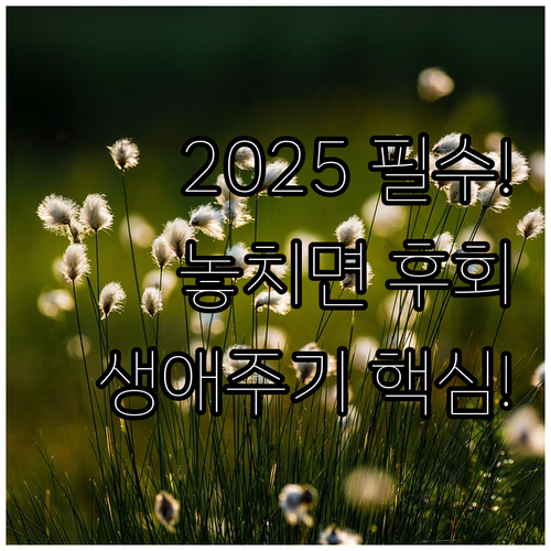 2025 양천구립도서관 생애주기별 맞..