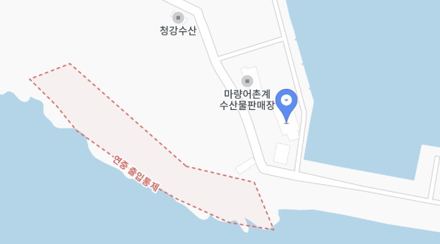 서천 자연산 광어 도미 축제