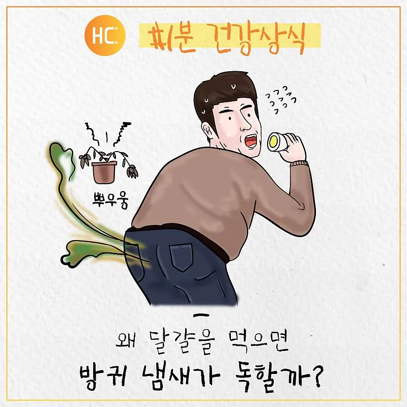 잦은방귀 원인 증상 해결방법_2