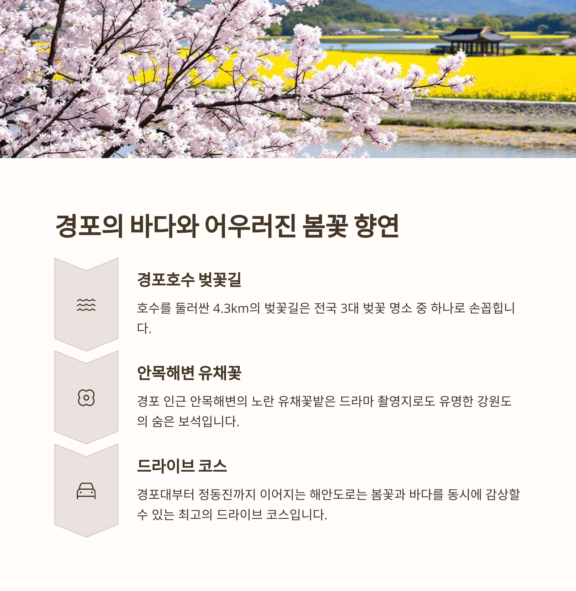 지역별 4월 축제 가이드