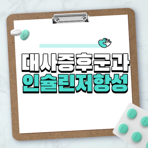 대사증후군과 인슐린저항성