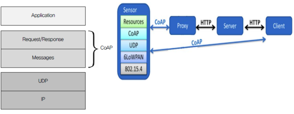 CoAP 네트워크 계층 구조도