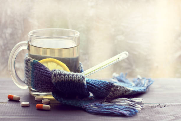 감기 독감 예방 면역력 높이는 영양제 증상 완화 피로 컨디션 안 좋을 때