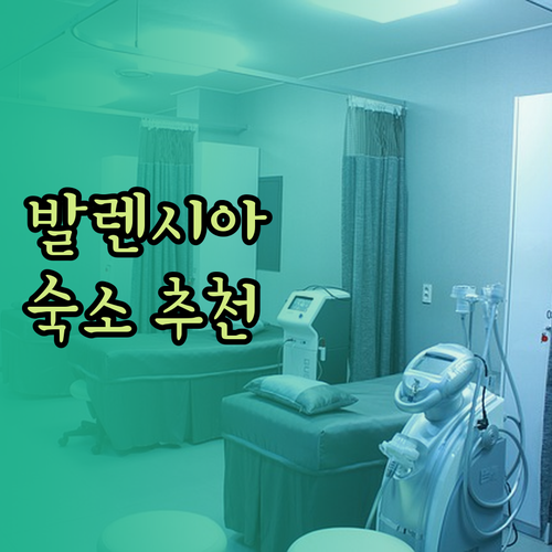 발렌시아 중심부에서 편리한 숙소 추천