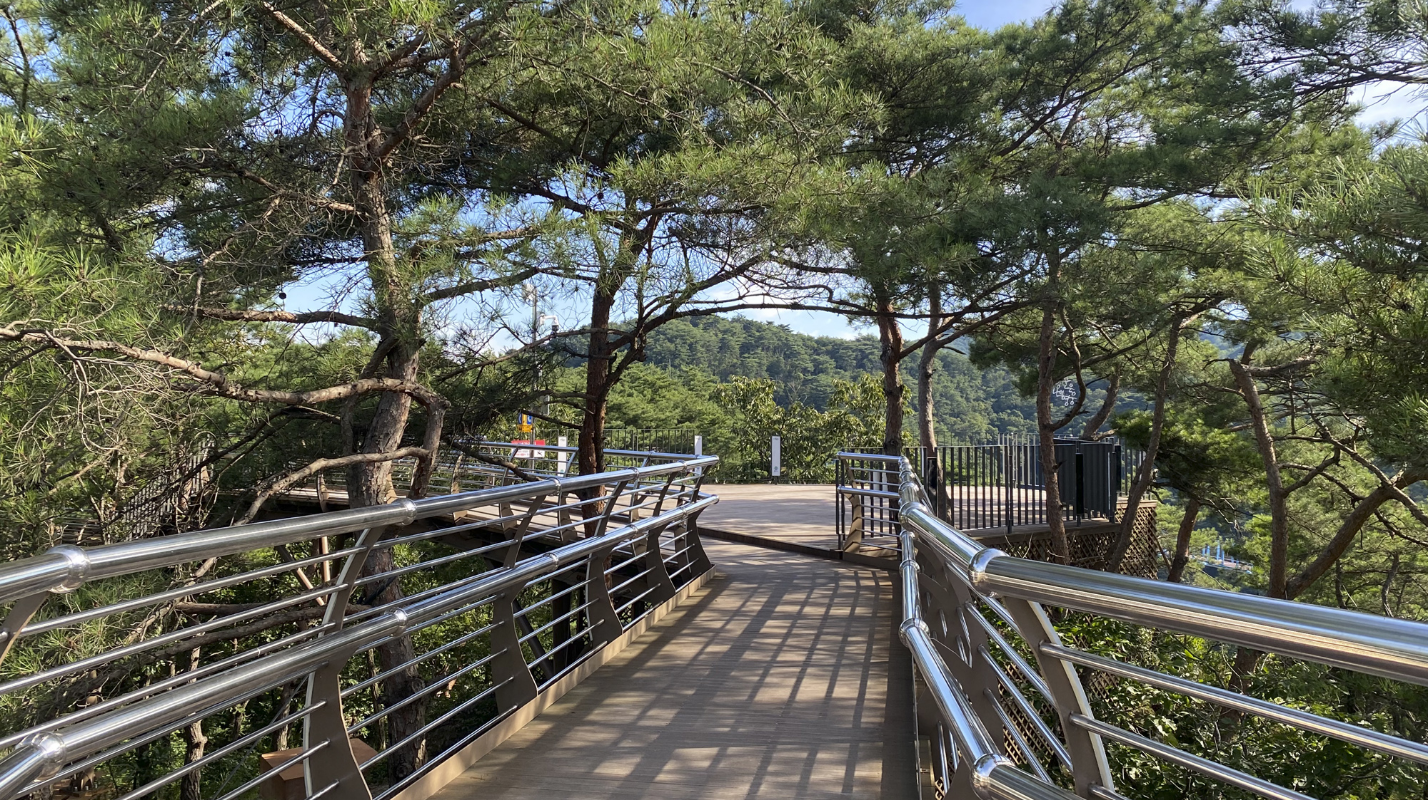 데크-산책로-전경