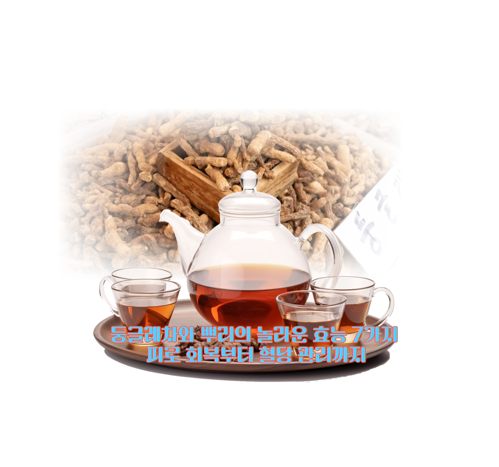 둥글레차와 뿌리의 놀라운 효능 7가지: 피로 회복부터 혈당 관리까지