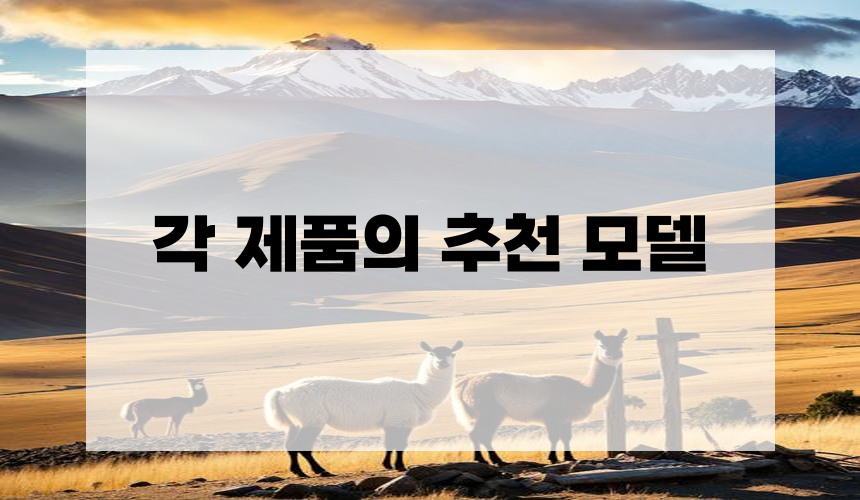 각 제품의 추천 모델