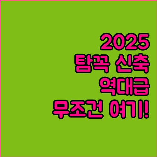 2025년 닌빈 여행 필수 코스 탐꼭..