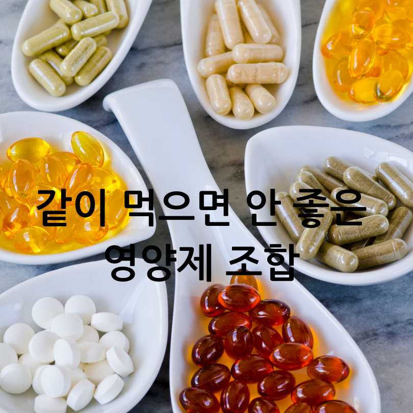 같이 먹으면 안좋은 영양제 조합